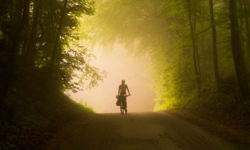 Vélo sur les chemins