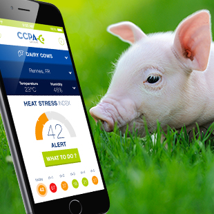 Appli Thermotool - CCPA