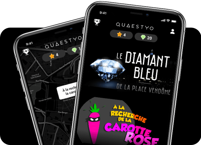 Quaestyo project